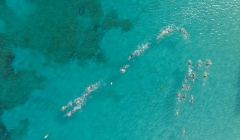 peter-island-athlon-2016-71 peter-island-athlon-2016-71