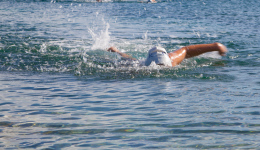 bvi-tri-steelman-2014-1039