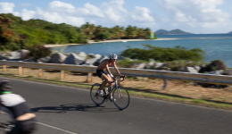 bvi-tri-steelman-2014-1051