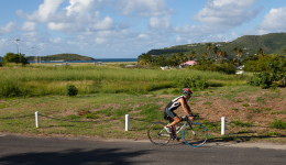 bvi-tri-steelman-2014-1096