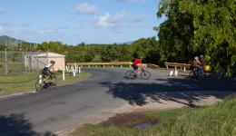 bvi-tri-steelman-2014-1097