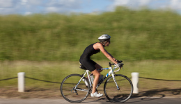 bvi-tri-steelman-2014-1112
