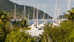 bvi-tri-steelman-2014-1156