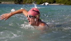 bvi-tri-steelman-2014-1022