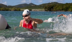 bvi-tri-steelman-2014-1023