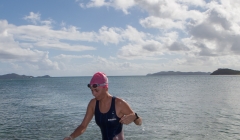 bvi-tri-steelman-2014-1027