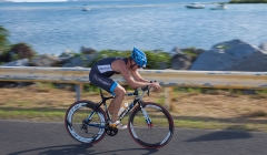 bvi-tri-steelman-2014-1058