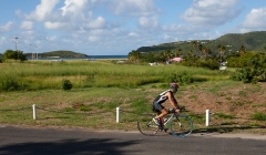 bvi-tri-steelman-2014-1096