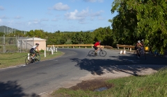 bvi-tri-steelman-2014-1097