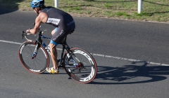 bvi-tri-steelman-2014-1102