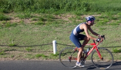 bvi-tri-steelman-2014-1103