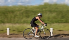 bvi-tri-steelman-2014-1112