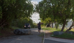 bvi-tri-steelman-2014-1121