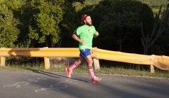 bvi-tri-steelman-2014-1155