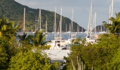 bvi-tri-steelman-2014-1156