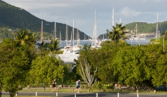 bvi-tri-steelman-2014-1158