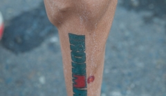 bvi-tri-steelman-2014-1163