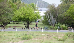 semi-steel-2015-1020