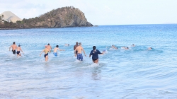 BVI-XTri-2011-04