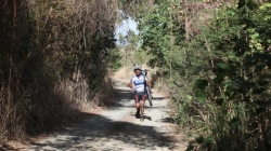 BVI-XTri-2011-14