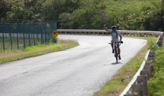 BVI-steelman-2016-34