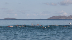 bvi-x-tri-2014-13