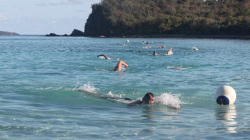 bvi-x-tri-2014-17