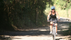 bvi-x-tri-2014-58