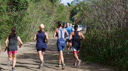 BVI-x-tri-2016-1053