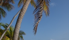 peter-island-athlon-2015-1002