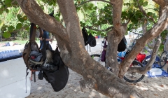 peter-island-athlon-2015-1116