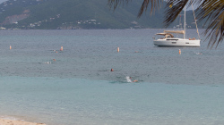 peter-island-athlon-2016-41