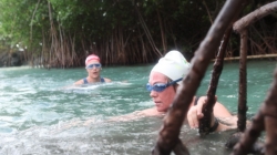 BVI-TRI-santathon-2012-14