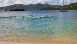 bvi-tr--semi-steel-2014-1005