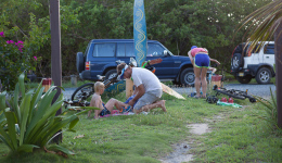 bvi-tr--semi-steel-2014-1081