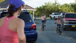 bvi-tr--semi-steel-2014-1090