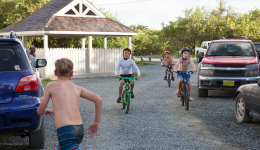 bvi-tr--semi-steel-2014-1096