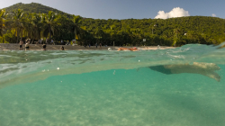 smugglers-cove-aquathon-70