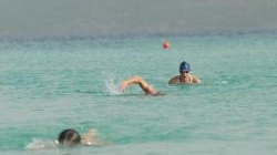 swimmers-250x164